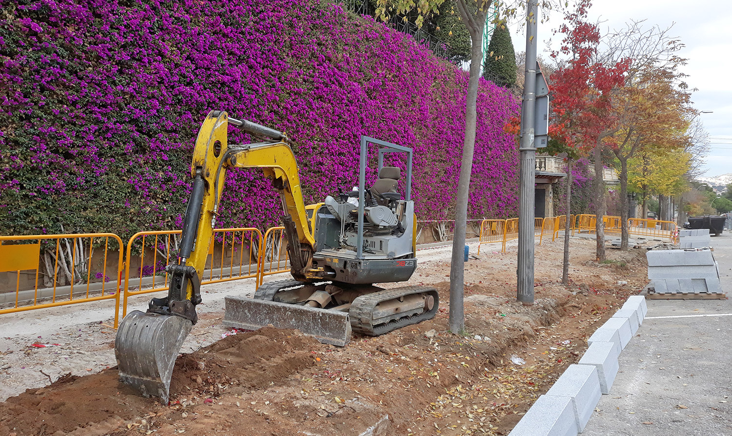 Excavaciones Roca Rosa